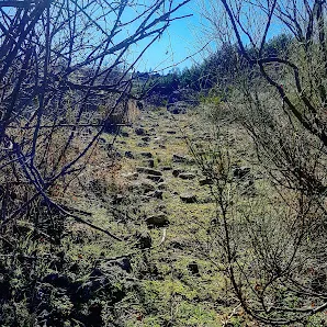 Naturaleza salvaje