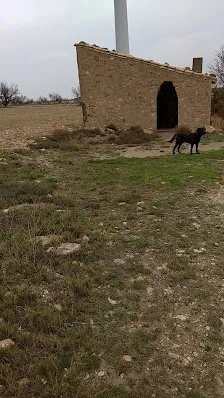 De los visitantes
