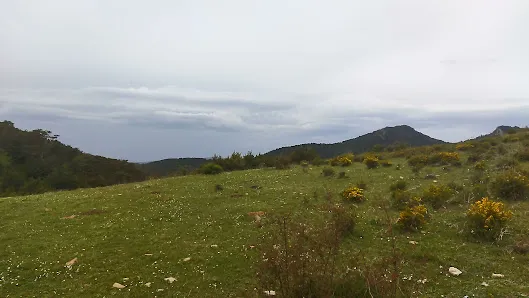 Vídeos