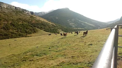 Caballo