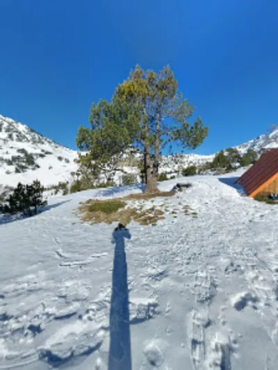 Street View y 360°