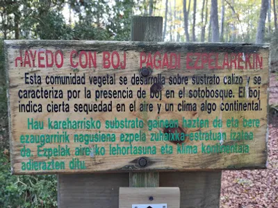 De los visitantes