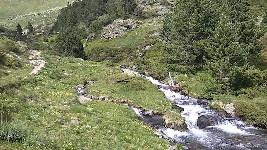 Vídeos