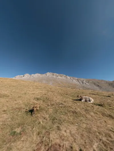 Street View y 360°