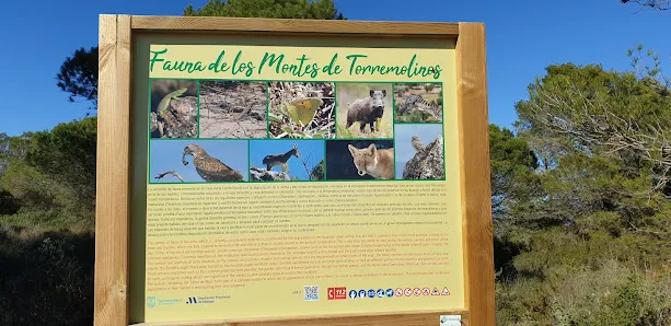 De los visitantes