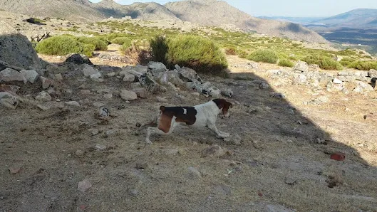 Vídeos