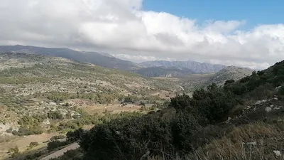 Vídeos