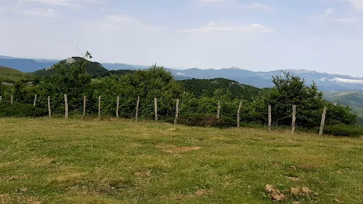 Vídeos