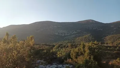 Vídeos