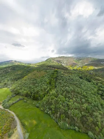 Street View y 360°