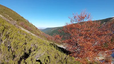 Foto del refugio Choza del San Millán