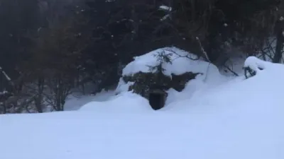 Foto del refugio Orri de Randé