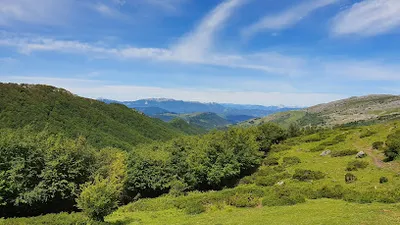 Foto del refugio Refugio Amigos de Aralar