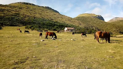 Foto del refugio Refugio Arroyo de Lezna