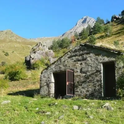 Todas