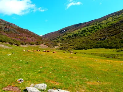 Foto del refugio Refugio De Caboalles