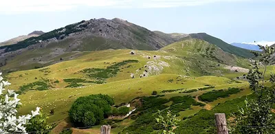 Imagen del refugio Refugio de Errenaga