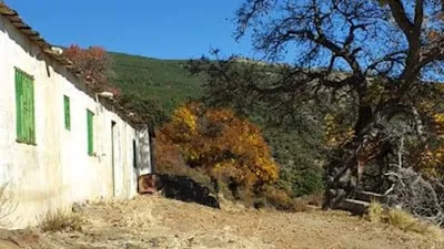 Foto del refugio Refugio de la Majada de las Vacas