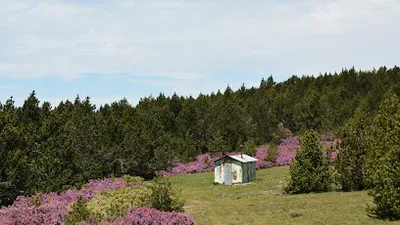 Foto del refugio Refugio de Las Azuelas