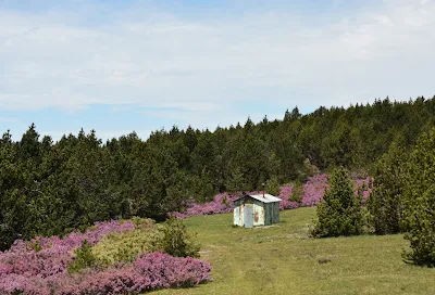 Vista del refugio Refugio de Las Azuelas