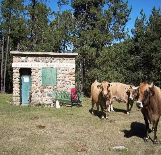 Vista panorámica de Refugio de Nahuja