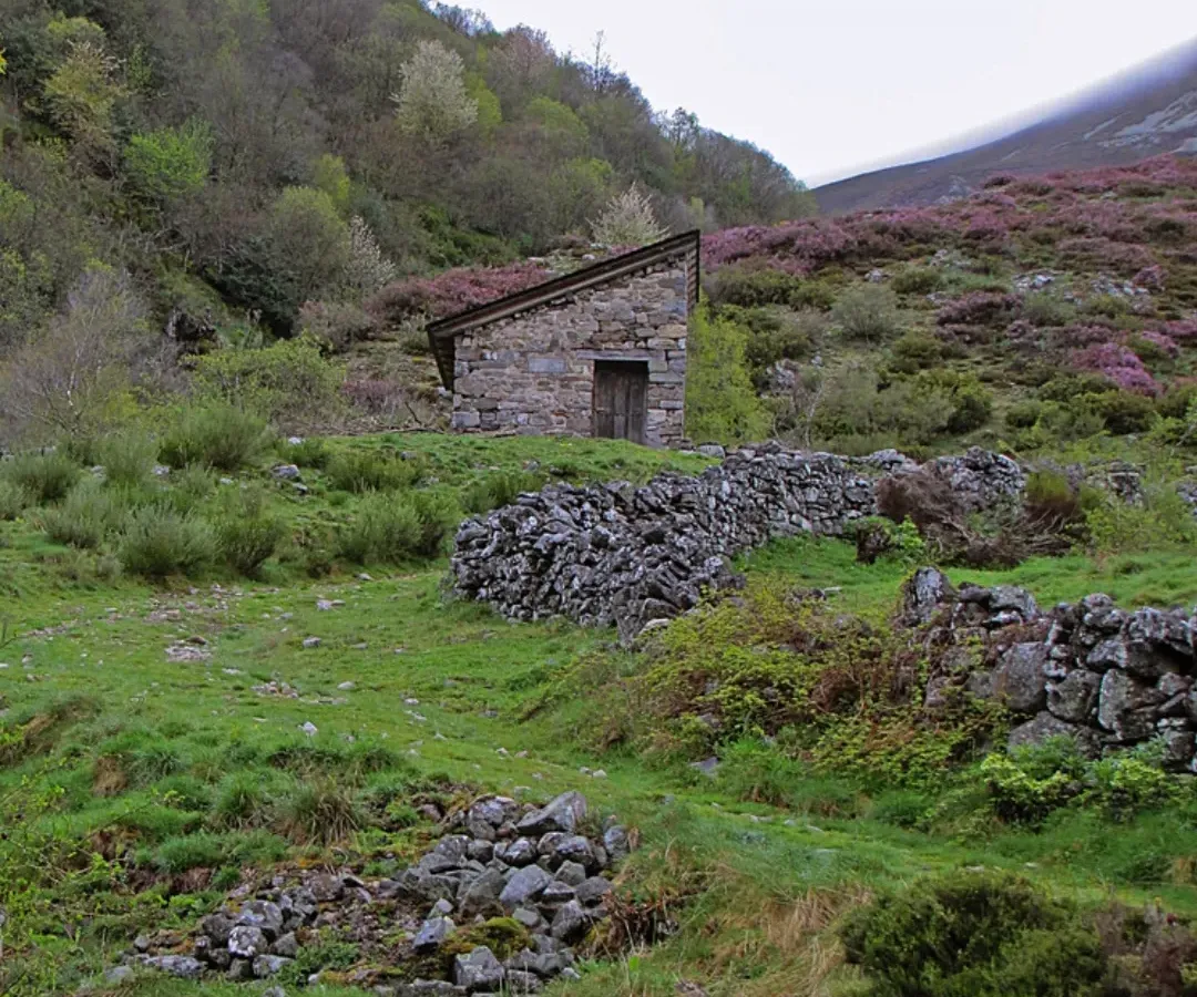 Vista panorámica de Refugio de Salentinos
