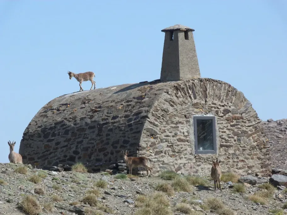 Vista panorámica de Refugio del Caballo