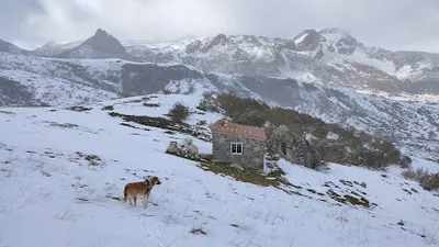 Foto del refugio Refugio El Gistral
