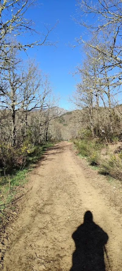 Foto del refugio Refugio Llanolespín