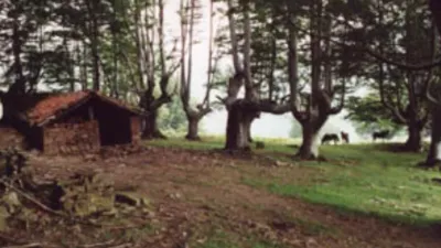 Foto del refugio Refugio Redil Arizkun